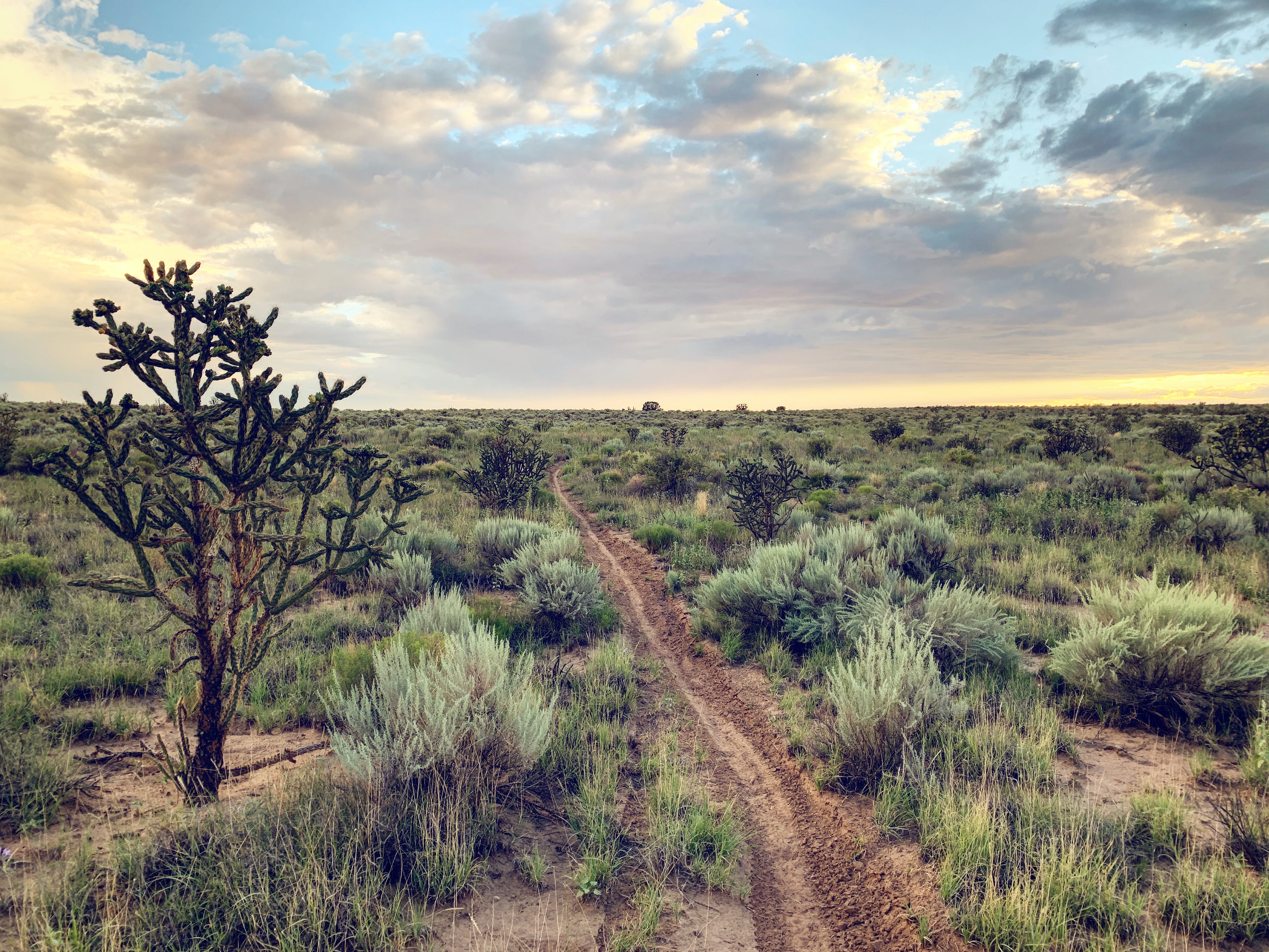 Albuquerque, New Mexico